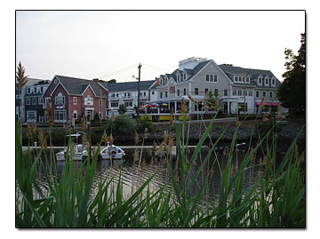Condos and apartments in Milford